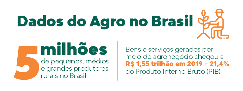 Dados do agro no Brasil