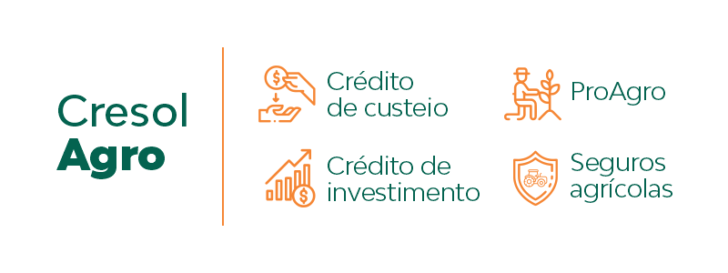 Cresol Agro: crédito de custeio, crédito de investimento, ProAgro e seguros agrícolas.