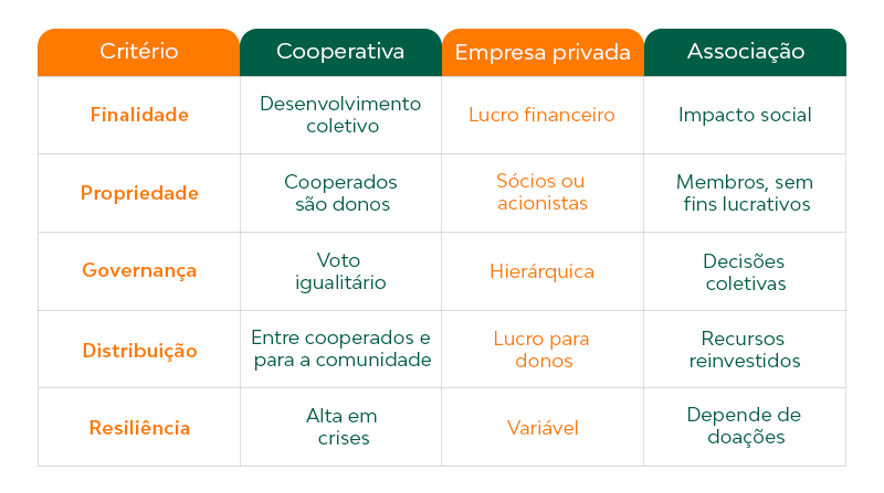 Diferenças entre cooperativa, empresa privada e associação