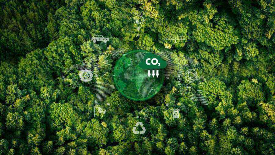Floresta com símbolos de carbono e ícones conceitos de sustentabilidade