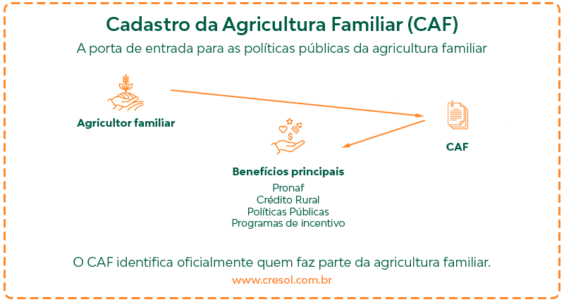 O banner explica como o Cadastro da Agricultura Familiar, o CAF, é a porta de entrada para as políticas publicas da agricultura familiar, como Pronaf e outras modalidades de crédito rural.